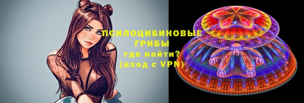 МДПВ Алзамай