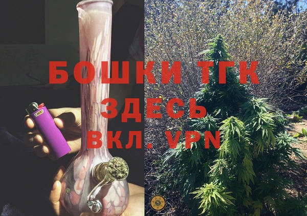 индика Алексеевка