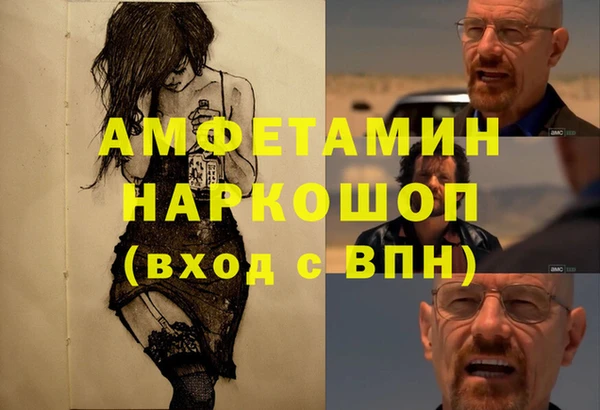 амф Алексин