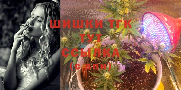 индика Алексеевка