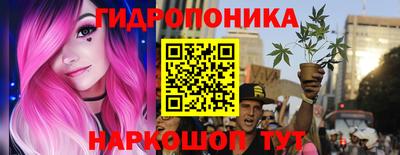 a pvp Гагарин