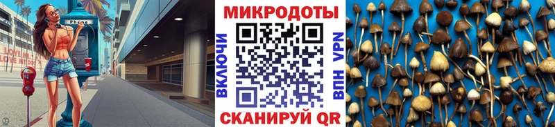 Псилоцибиновые грибы MAGIC MUSHROOMS  Ставрополь 
