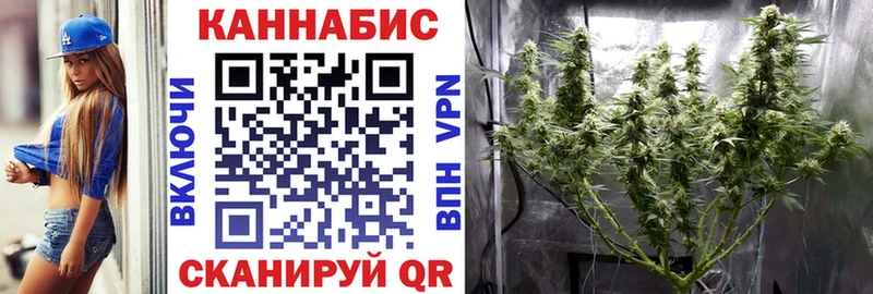 Бошки Шишки индика  Ставрополь 